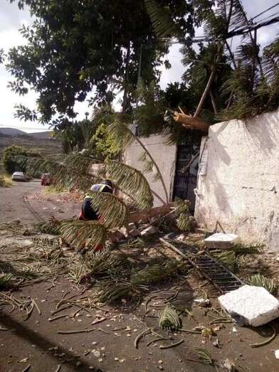 Momento de la intervención del personal del parque zonal de La Garita (Foto TA)